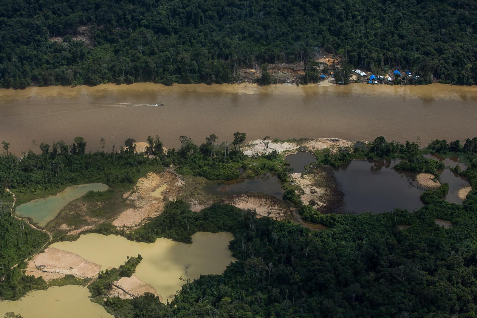 Operacao do Ibama na terra Yanomami demonstra que garimpeiros persistem