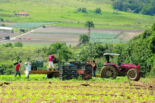 Governo de SP libera R$ 3 milhões para produtores rurais da região de Mogi das Cruzes