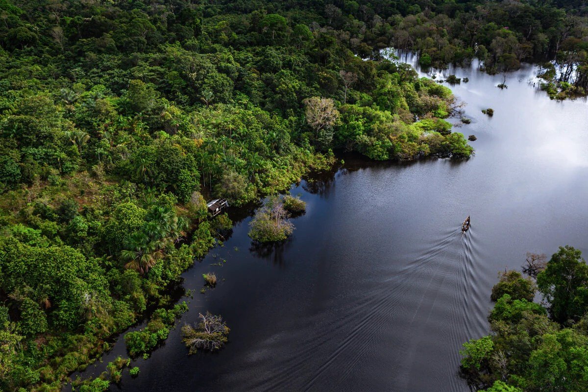 A imagem mostra uma floresta e rio em região amazônica
