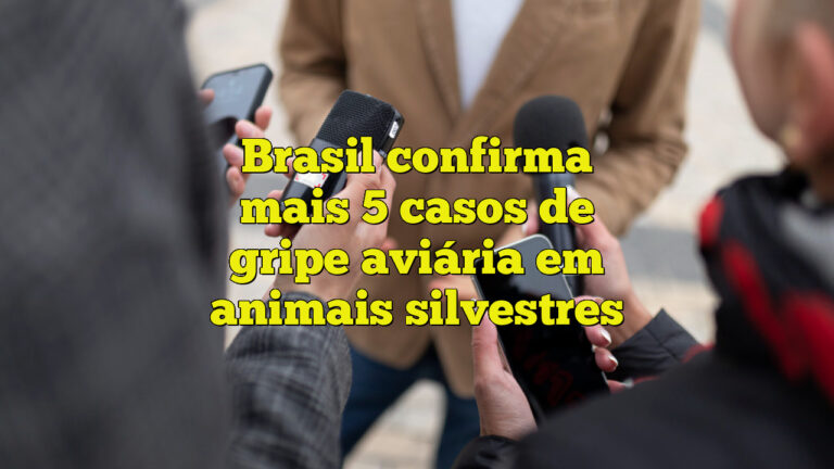 Brasil confirma mais 5 casos de gripe aviária em animais silvestres