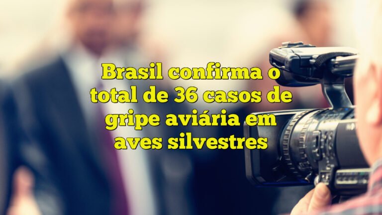 Brasil confirma o total de 36 casos de gripe aviária em aves silvestres