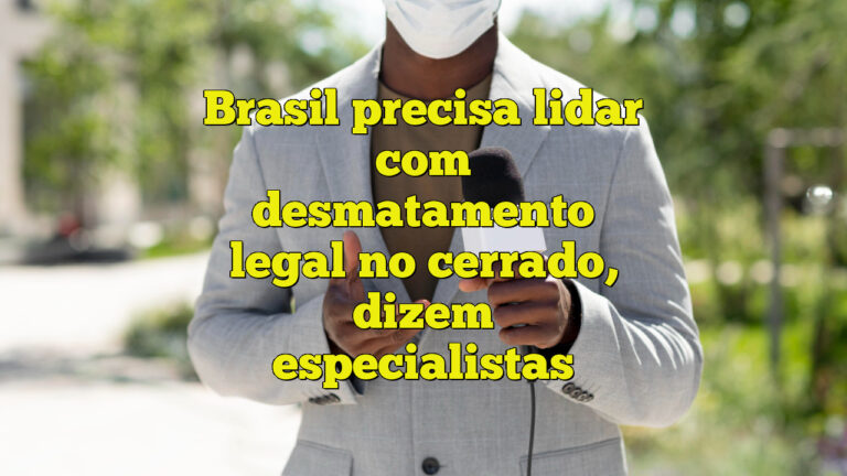 Brasil precisa lidar com desmatamento legal no cerrado, dizem especialistas