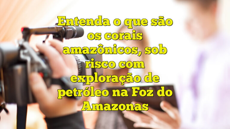 Entenda o que são os corais amazônicos, sob risco com exploração de petróleo na Foz do Amazonas