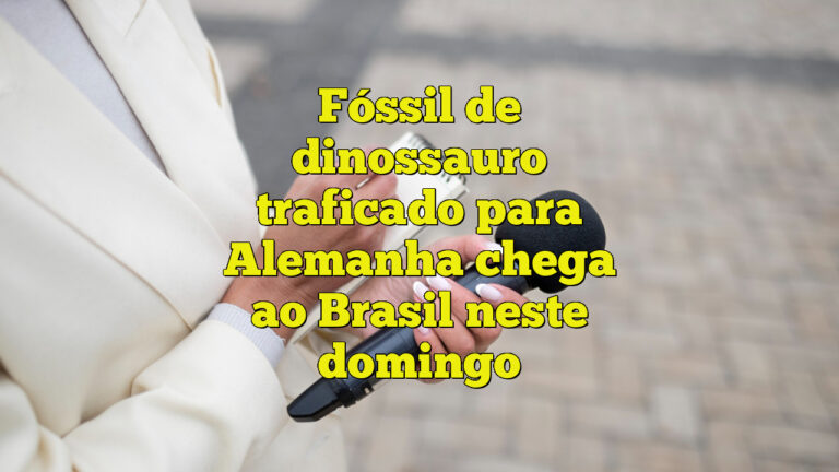 Fóssil de dinossauro traficado para Alemanha chega ao Brasil neste domingo