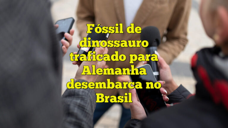 Fóssil de dinossauro traficado para Alemanha desembarca no Brasil