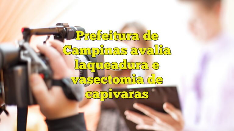 Prefeitura de Campinas avalia laqueadura e vasectomia de capivaras