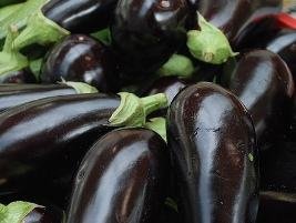 Berinjela – Solanum melongena Curiosidade sobre a Planta