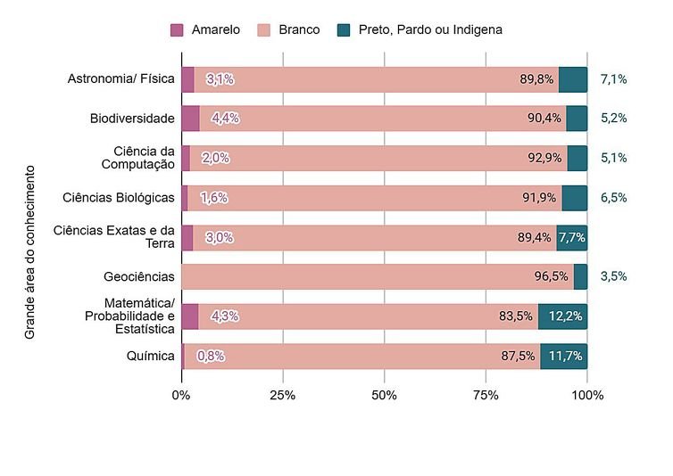 Negros e indígenas não passam de 7,4% dos professores em pós-graduação - Segmentação por área de conhecimento. Arte: Instituto Serrapilheira