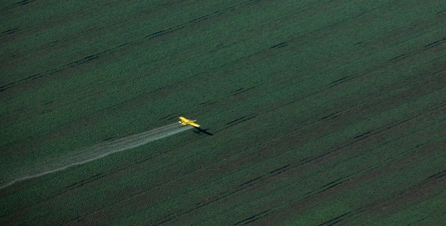 Avião lança agrotóxicos sobre plantação de soja no Cerrado