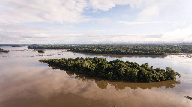 Imagem aérea mostra rio sinuoso na Amazônia com uma pequena ilha ao centro do rio, e floresta ao fundo, na linha do horizonte