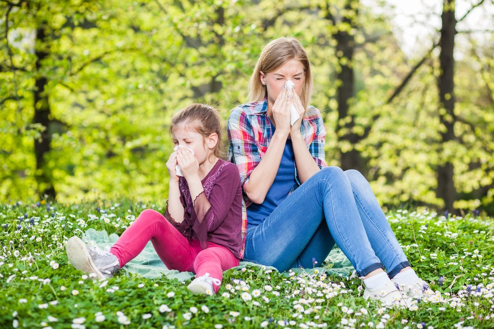 Alergia ao Pólen: Como evitar? Quais tratamentos?